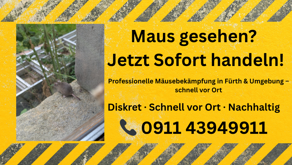 Maus an Hausfassade in Nürnberg – Hinweis auf Mäusebefall im Außenbereich nahe Gebäude