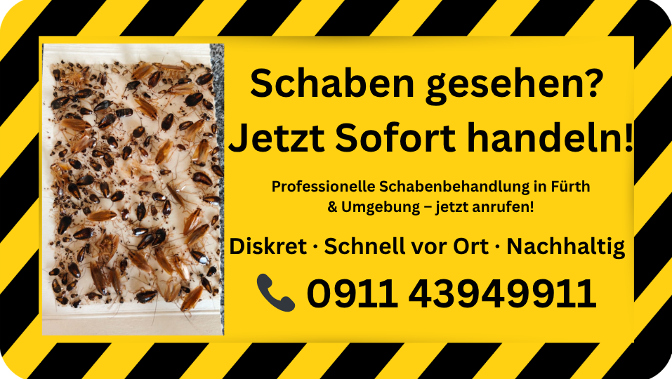 Schaben gesehen? Sofort professionelle Hilfe bei Schabenbefall in Fürth Schaben-Notdienst in Fürth – starker Schabenbefall mit zahlreichen Kakerlaken und Hinweis auf sofortige professionelle Schädlingsbekämpfung