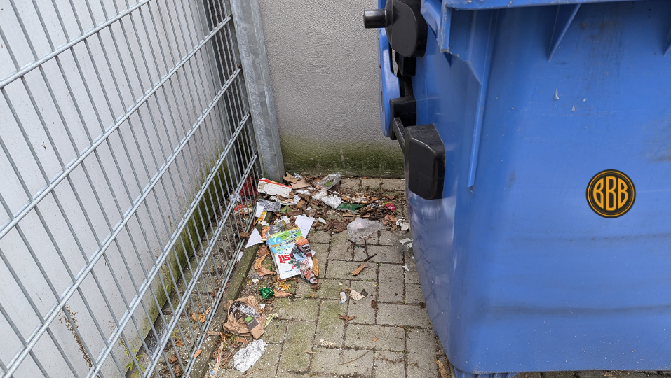 Dichte Vegetation und Müllbereiche fördern Rattenbefall an Wohnanlagen in Franken