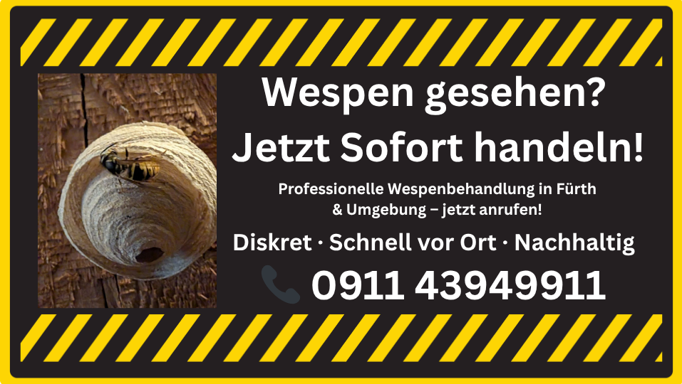 Wespennest an Holzfassade mit Hinweis auf schnellen Wespen Notdienst in Fürth und Umgebung – professionelle Wespenbekämpfung und Soforthilfe