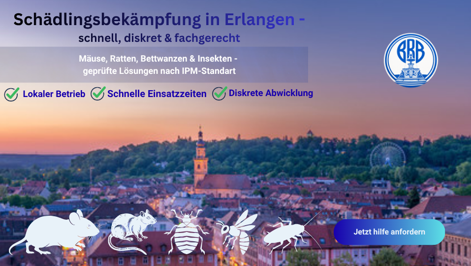 Schädlingsbekämpfung in Erlangen – professionelle Hilfe bei Ratten, Mäusen und Insekten im Haus