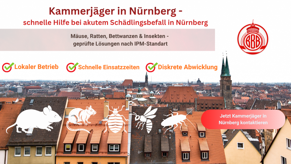 Kammerjäger Nürnberg bei Schädlingsbekämpfung mit Blick über Dächer der Altstadt und typische Schädlinge