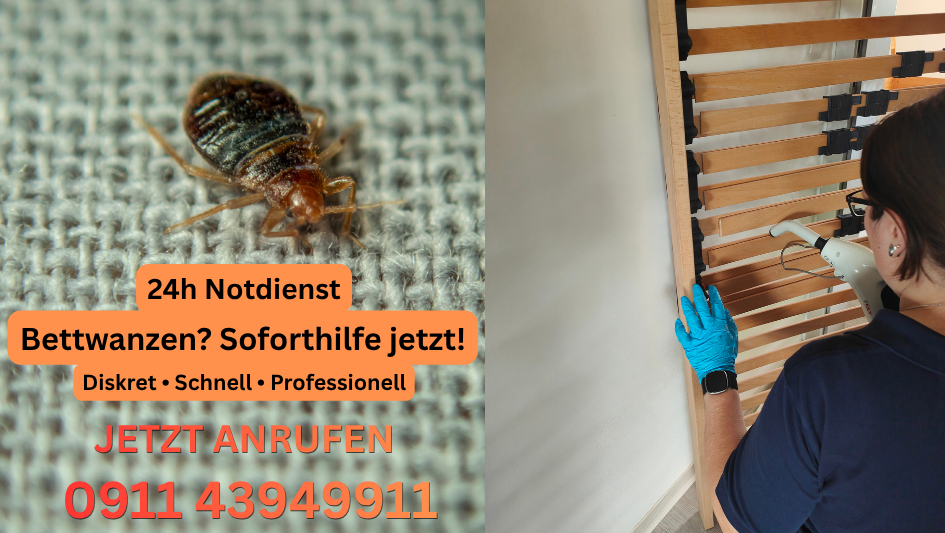 Bettwanzen erkennen und bekämpfen – Notdienst mit Dampfbehandlung in Fürth Nürnberg Erlangen