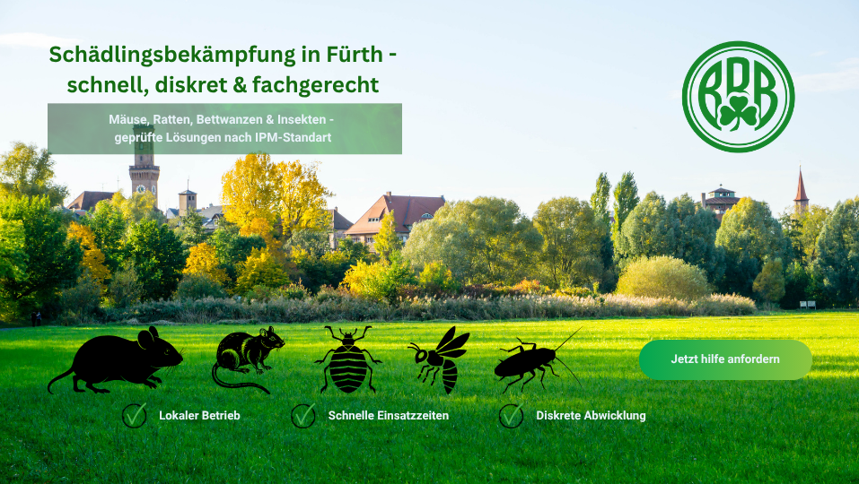 Schädlingsbekämpfung in Fürth – Hilfe bei Mäusen, Ratten, Bettwanzen und Insekten im Stadtgebiet