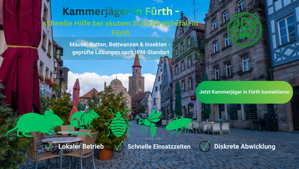 Kammerjäger Fürth Innenstadt Schädlingsbekämpfung Mäuse Ratten Bettwanzen Insekten
