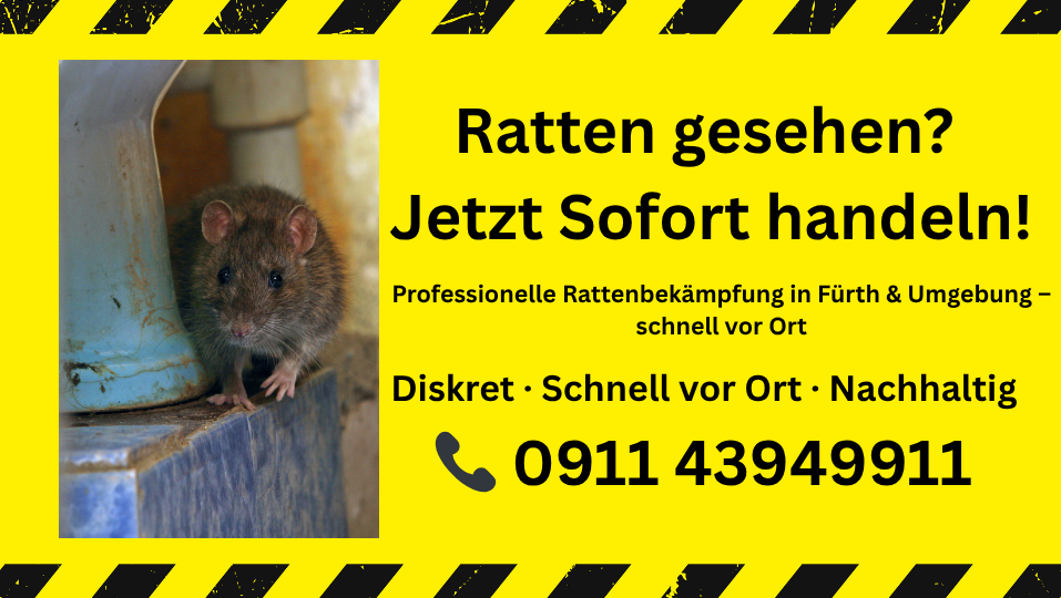 Professionelle Rattenbekämpfung in Fürth – schnelle Hilfe bei Rattenbefall durch BBSF