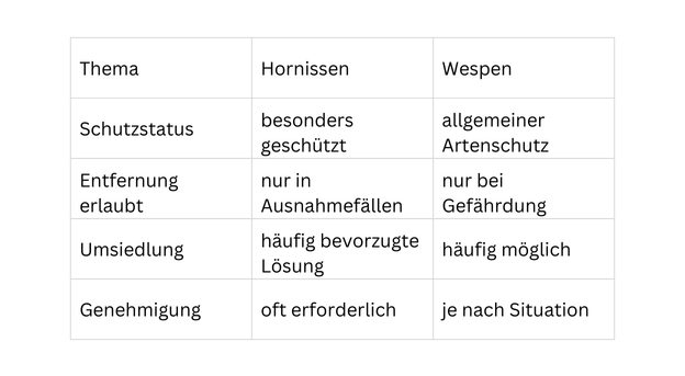 Vergleichstabelle zu Hornissen und Wespen: Schutzstatus, erlaubte Entfernung, Umsiedlung und Genehmigungspflicht