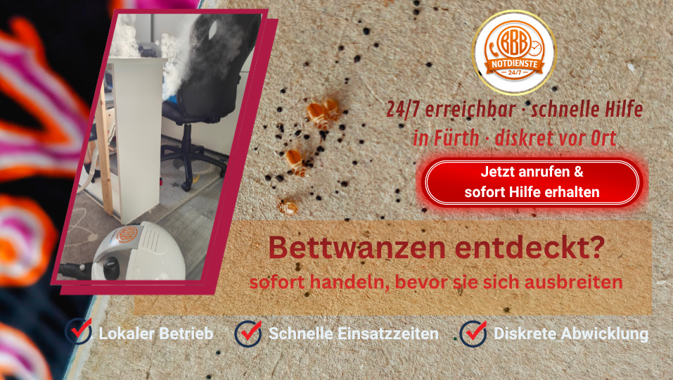 bettwanzen bekämpfung wärme dampf verfahren nach urlaub befall schnell hilfe fürth und Umgebung