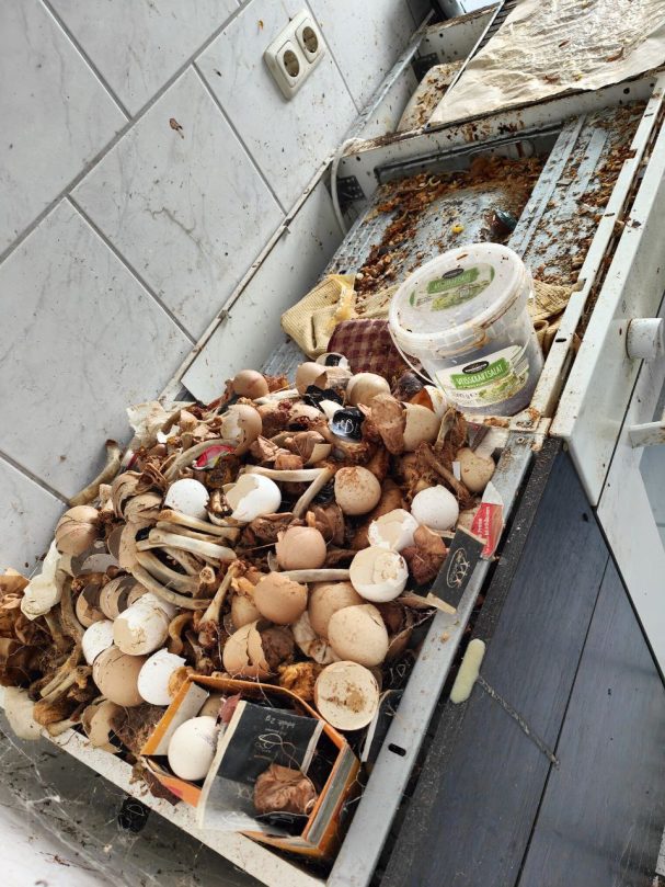 Küchenarbeitsfläche mit massiven Lebensmittelresten und Abfällen in einer Messie-Wohnung