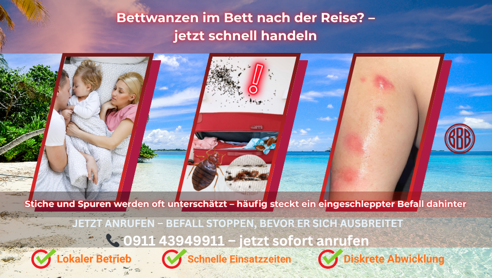 bettwanzen nach urlaub im bett stiche spuren eingeschleppt gepäck erkennen