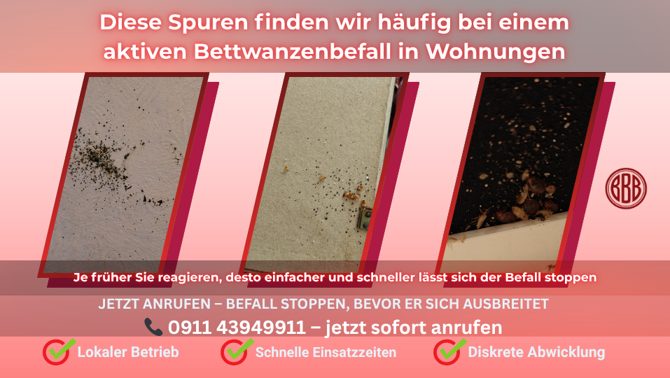 Bettwanzen Spuren erkennen – Kotpunkte und Befallsanzeichen Bettwanzenbefall in Wohnung – Kotspuren und typische Hinweise an Wänden und Möbeln