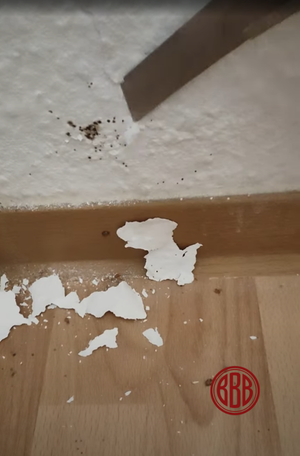 Bettwanzen Kot im Bodenbereich neben Bett