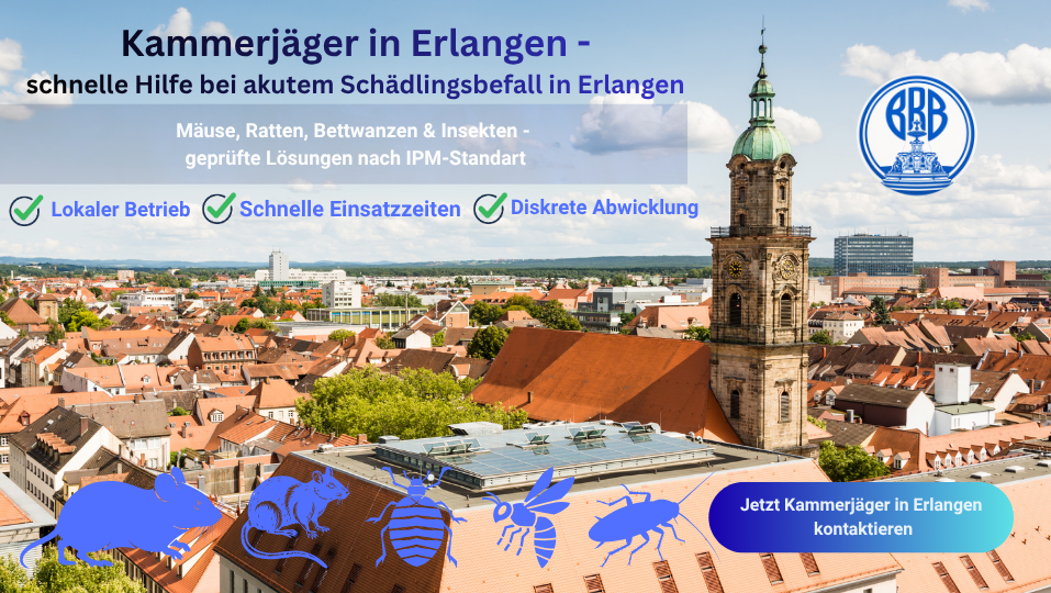 Stadtansicht von Erlangen mit Wohnhäusern und Gebäuden – typische Einsatzorte für Schädlingsbekämpfung
