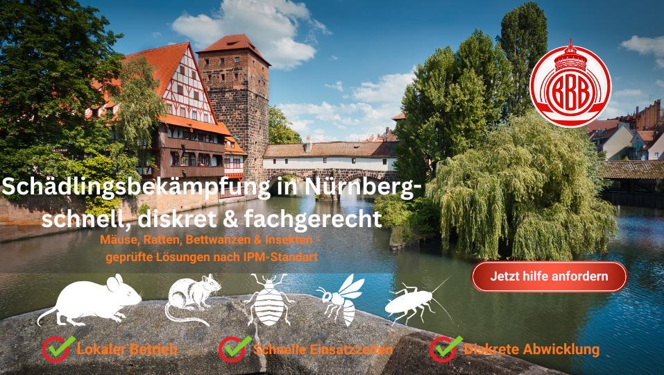 Schädlingsbekämpfung Nürnberg Altstadt – typische Umgebung für Mäuse, Ratten und Bettwanzen in Wohngebieten