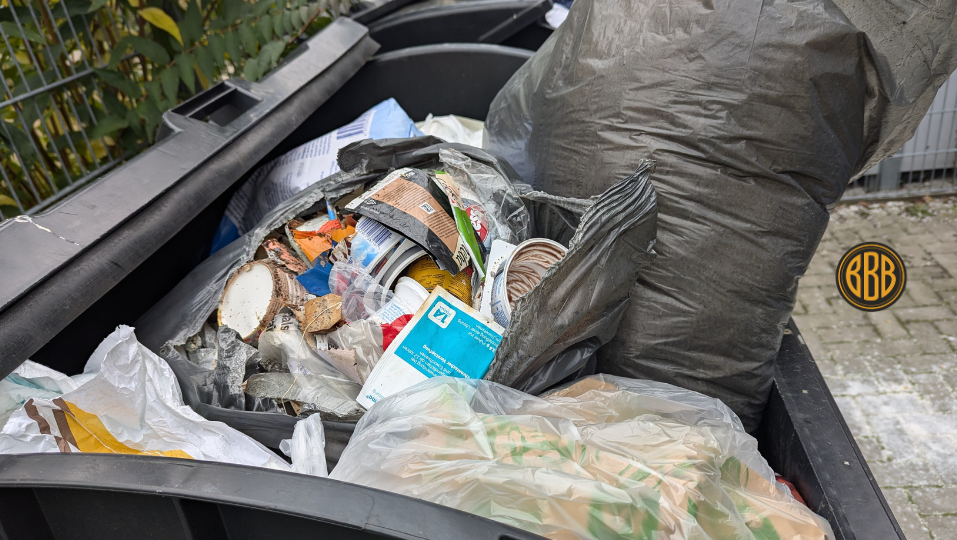 Offene Müllsäcke und falsch entsorgte Abfälle fördern Rattenbefall