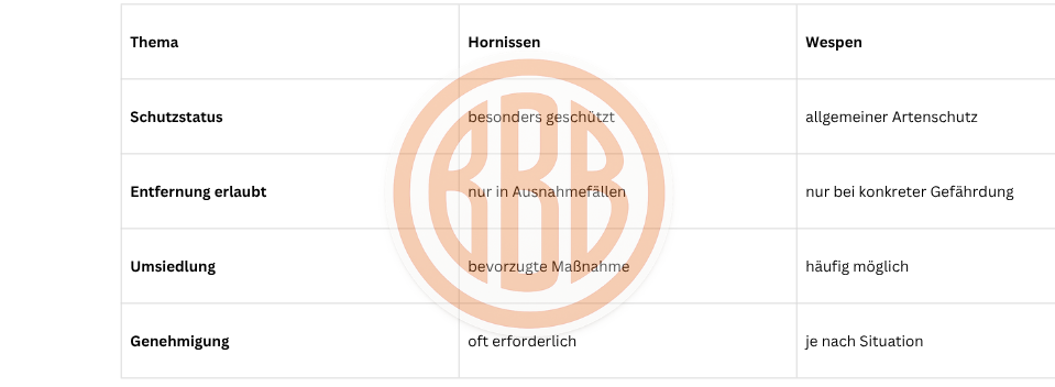 Vergleichstabelle zu Hornissen und Wespen: Schutzstatus, erlaubte Entfernung, Umsiedlung und Genehmigungspflicht