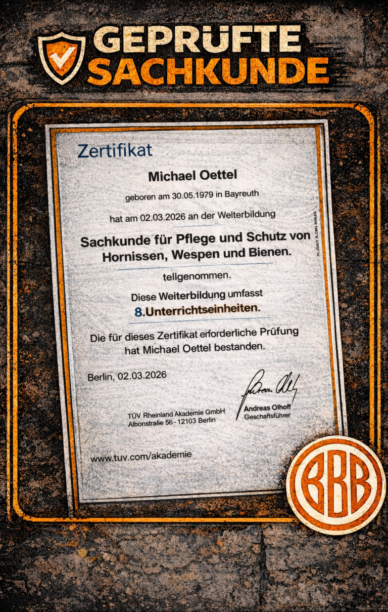 TÜV-Sachkunde Hornissen Artenschutzgerechte Umsiedlung gemäß Bundesnaturschutzgesetz.